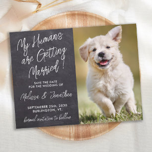 Carte Postale Faire-part Rustic Pet Mariage Personnalisé Photo Chien Enregi