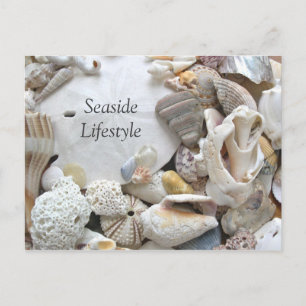Carte Postale Faire-part Sable Dollar Balnéaire Style de vie Nouvelle adres