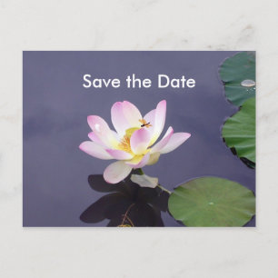 Carte Postale Faire-part Sauvegarder la date