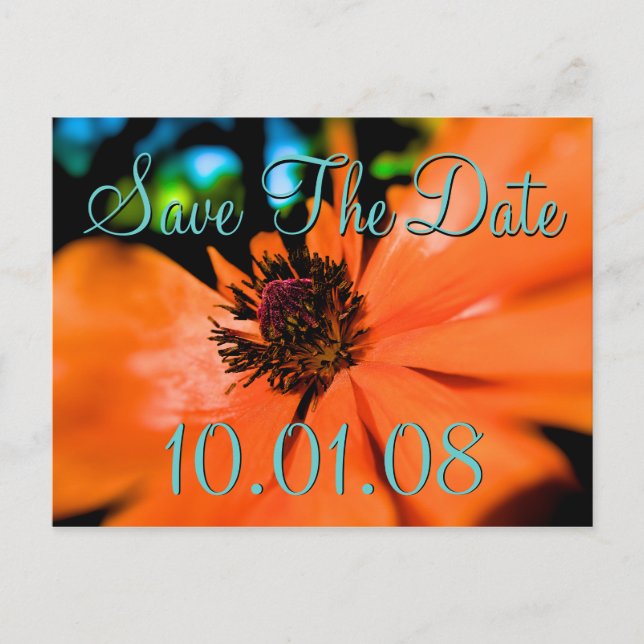 Carte Postale Faire-part Sauvegarder la date - Coquelicots (Devant)