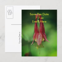 Sauvegarder la date Fleur de colombine sauvage 
