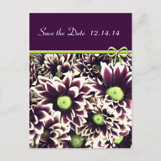 Carte Postale Faire-part Sauvegarder la date Fleurs de marguerite violettes (Devant)