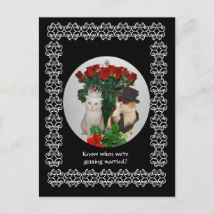 Carte Postale Faire-part Sauvez la date !