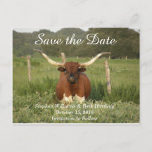Sauvez la date Texas Longhorn