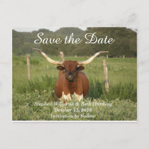 Carte Postale Faire-part Sauvez la date Texas Longhorn
