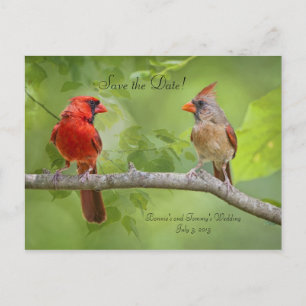 Carte Postale Faire-part Save the date! Cardinal Pair