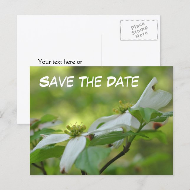 Carte Postale Faire-part Save The Date Dogwood Flower Photo  (Devant / Derrière)