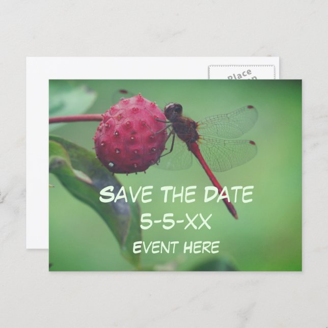 Carte Postale Faire-part Save The Date Red Dragonfly Nature  (Devant / Derrière)