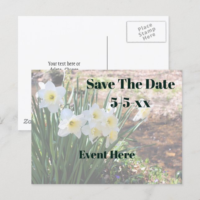 Carte Postale Faire-part Save The Date White Daffodil Flowers (Devant / Derrière)