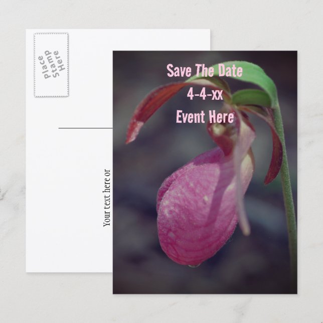 Carte Postale Faire-part Save The Date Wild Pink Lady Slipper Flower  (Devant / Derrière)