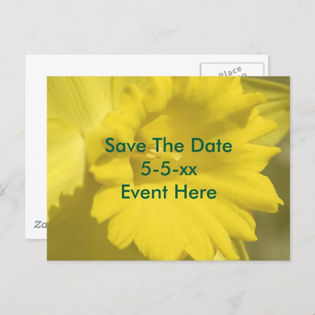 Carte Postale Faire-part Save The Date Yellow Daffodil Flower  (Devant / Derrière)