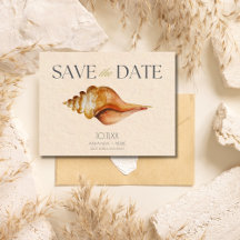 Seashell Beach Destination Mariage Enregistrer la 