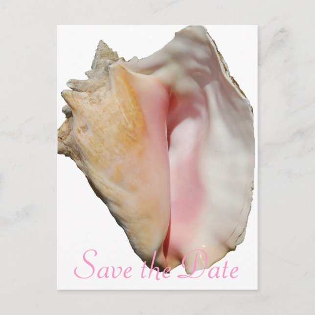 Carte Postale Faire-part Seashell Conch Beach Wedding (Devant)