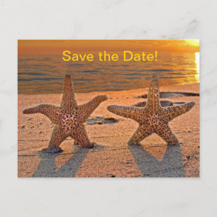 Carte Postale Faire-part Starfish Enregistrer La Date