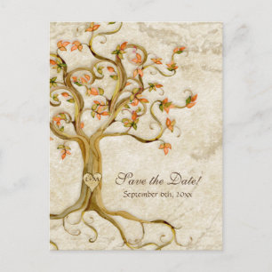 Carte Postale Faire-part Swirl Tree Roots Antiquité Parchemin Mariage Enreg