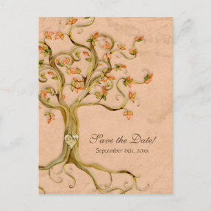 Carte Postale Faire-part Swirl Tree Roots Antiquité Parchemin Mariage Enreg