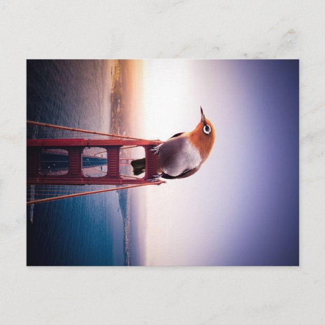 Carte Postale Faire-part Toile cadeau d'oiseau pour amateur d'oiseaux | Bel (Devant)