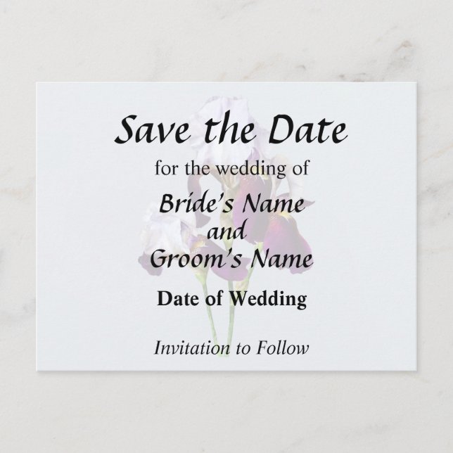 Carte Postale Faire-part Trois iris aux nuances de magenta (Devant)