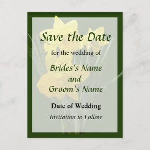 Carte Postale Faire-part Trois jonquilles montant la garde Enregistrez la d