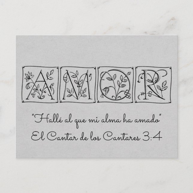 Carte Postale Faire-part Trouvé une âme qui aime~Sauver Date~Espagnol (Devant)