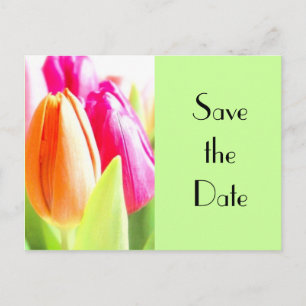 Carte Postale Faire-part Tulipes Sauvegarder la date