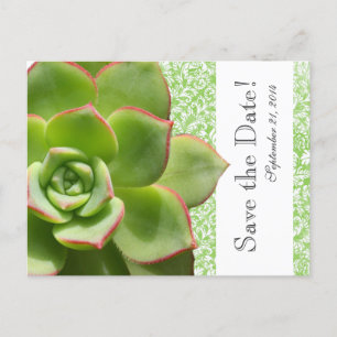 Carte Postale Faire-part Verte Succulent Vintage Damas enregistrer la date