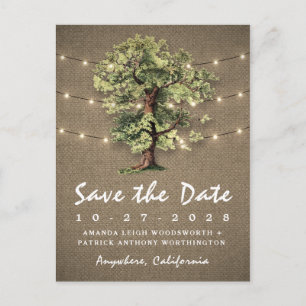 Carte Postale Faire-part Vintage Chêne Lumières Rustiques Enregistrer Les C