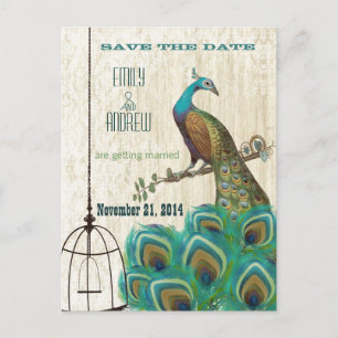 Carte Postale Faire-part Vintage Damask Peacock Birdcage Enregistrer la dat