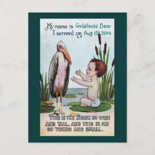 Carte Postale Faire-part Vintage Stork avec nouveau bébé dans l'étang