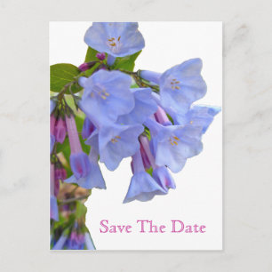 Carte Postale Faire-part Virginia Bluebells Enregistrer la date
