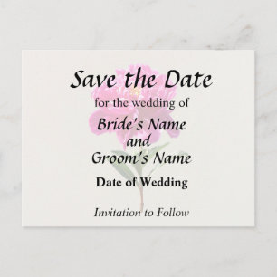 Carte Postale Faire-part Vivid Peony rose