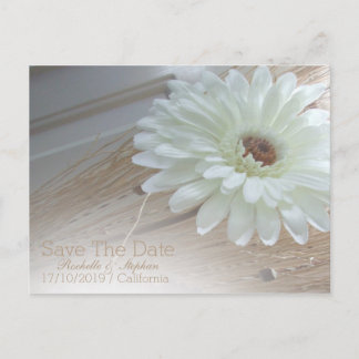 Carte Postale Faire-part White Daisy Enregistrer La Date Annonces Mariages