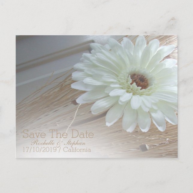 Carte Postale Faire-part White Daisy Enregistrer La Date Annonces Mariages (Devant)