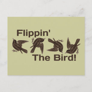 Carte Postale Faire tomber l'oiseau