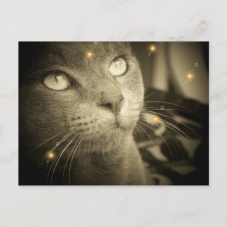 Carte Postale Faire un voeu