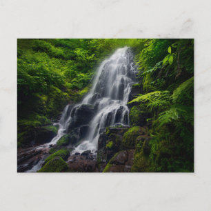 Carte Postale Fairy Falls   Gorge de la rivière Colombia Oregon.