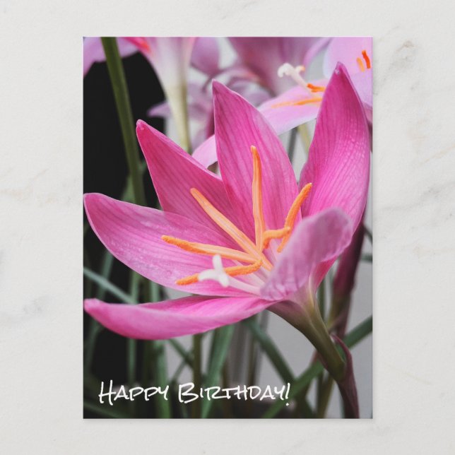 Carte postale Fairy Lily Anniversaire (Devant)