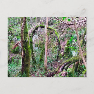 Carte Postale Fairy Portal - Rio de Mouros - Conímbriga - PT