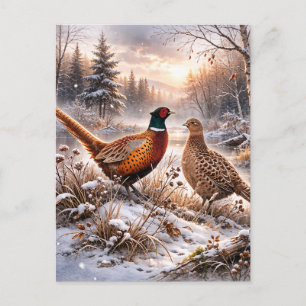 Carte Postale Faisan 