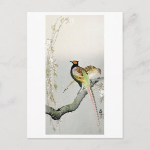 Carte Postale Faisans et fleurs de cerisier - Ohara Koson -