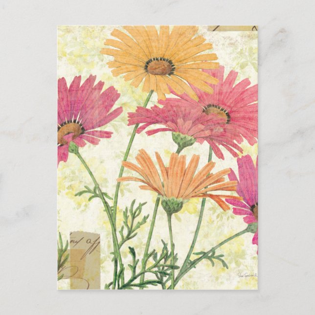 Carte Postale Faisceaux décoratifs (Devant)