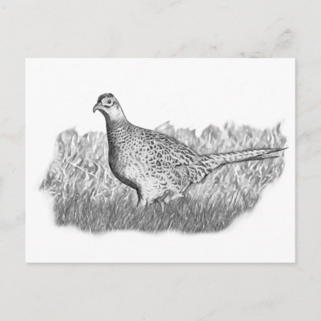 Carte Postale Faiseuse (Devant)