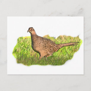 Carte Postale Faiseuse dans l'herbe