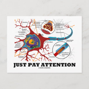 Carte Postale Faites attention (Neuron / Synapse)