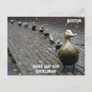 Carte Postale Faites place aux canetons !