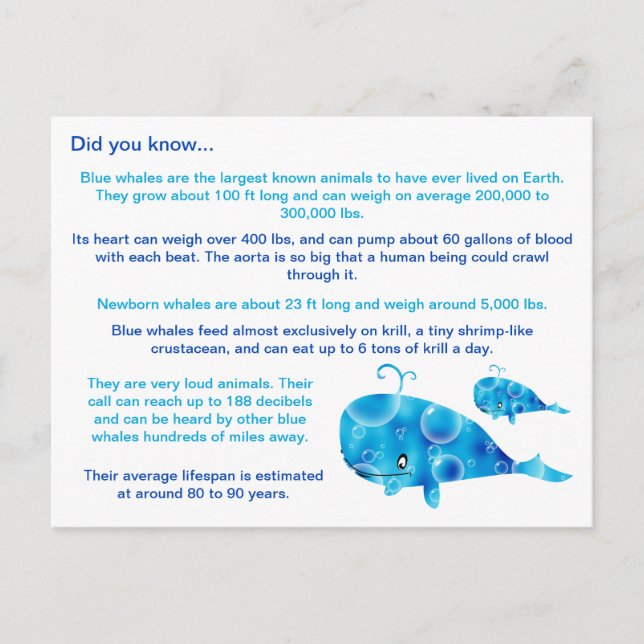 Carte Postale Faits amusants sur la baleine bleue (Devant)