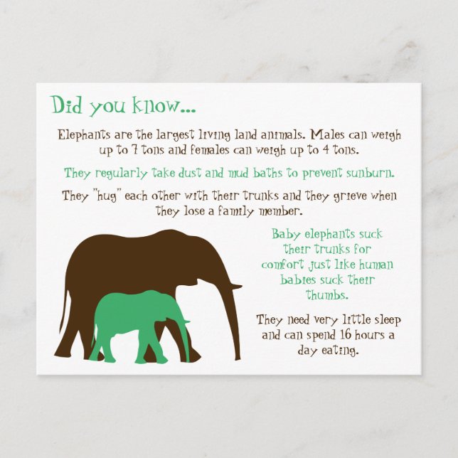 Carte Postale Faits amusants sur les éléphants (Devant)