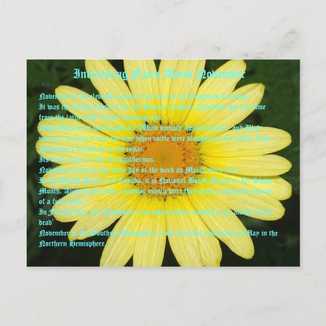 Carte Postale Faits intéressants sur Novembre (Devant)