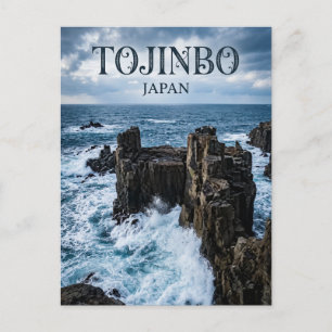 Carte Postale Falaises de Tojinbo Japon