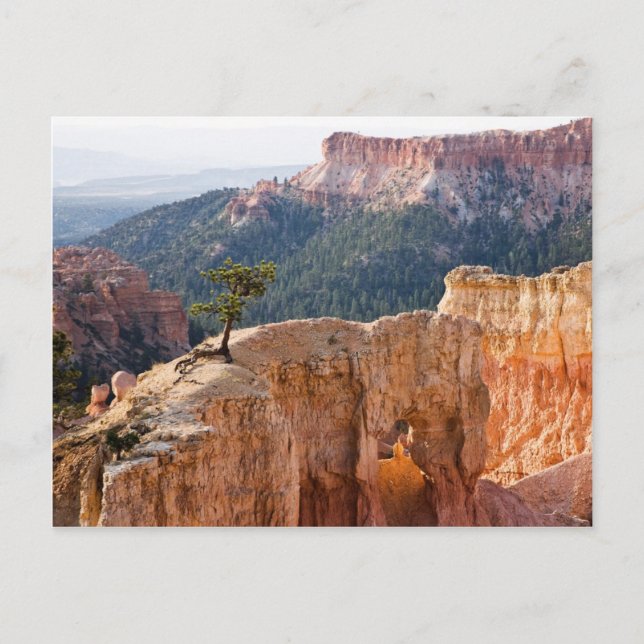 Carte Postale Falaises roses (Devant)